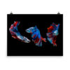 Three Beta Fish Poster - Image 3