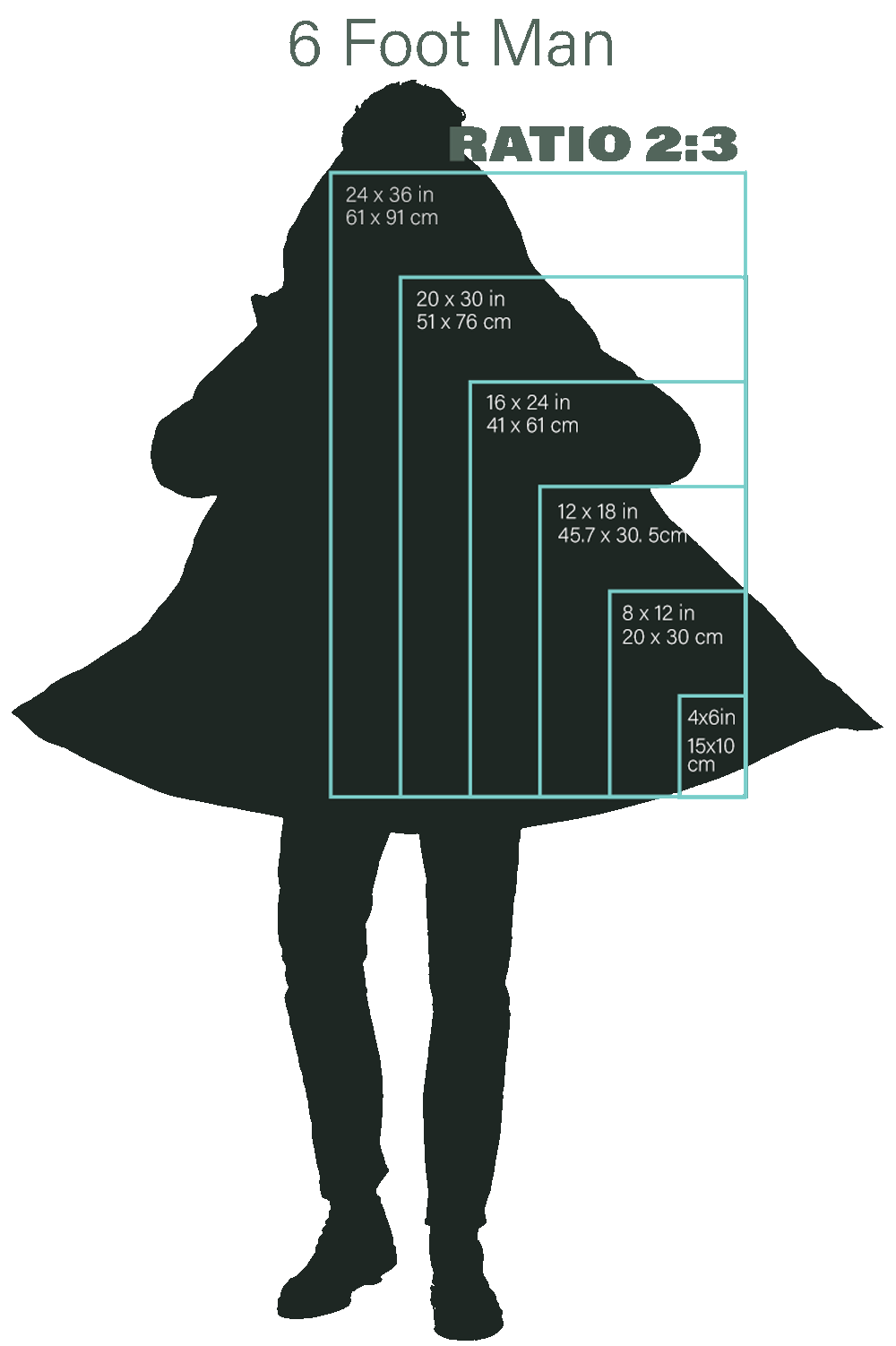 graphic showing print sizes in a 2:3 ratio compared to the height of a six foot man