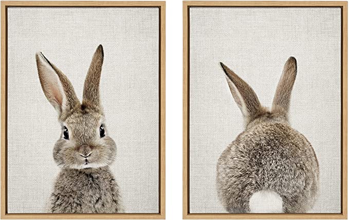 a two image set of a bunny rabbit