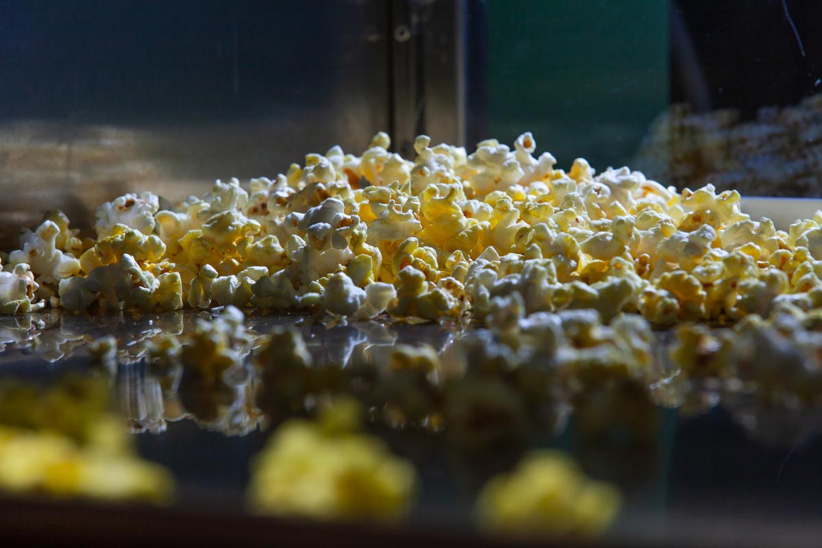 editorial photography of popcorn by Jeff Fried for Tribeca Film Festival