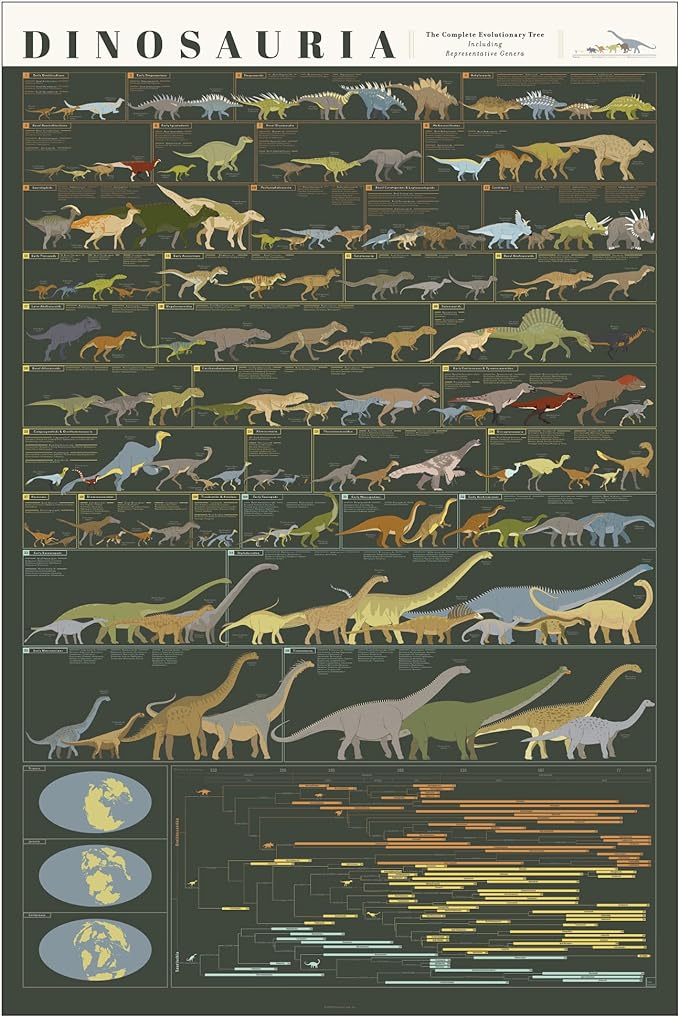 educational poster with dinosaurs