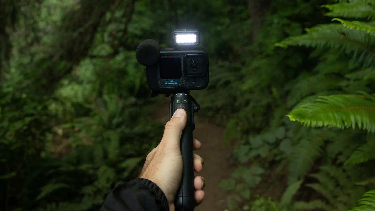GoPro HERO12 Black Creator Edition selfie light