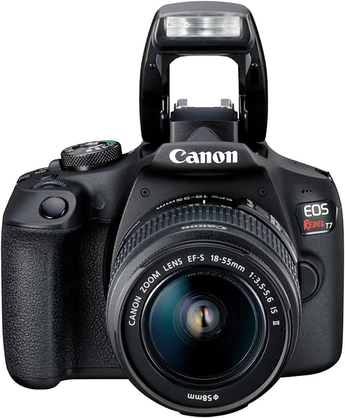 Canon EOS Rebel T7 built in flash
