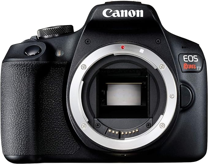 Canon EOS Rebel T7 image sensor