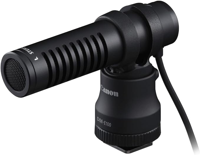 Canon EOS R10 Content Creator Kit mic