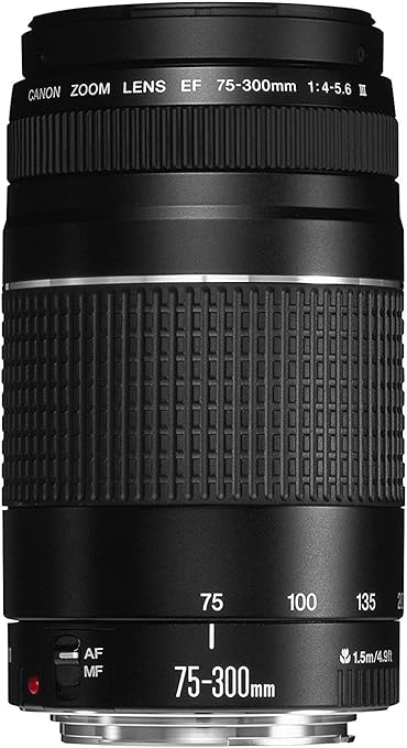 canon ef 75 to 300mm is under $200