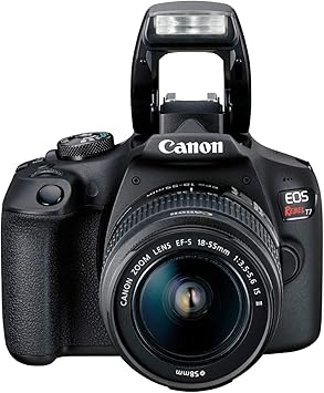 Canon Rebel T7 built-in flash